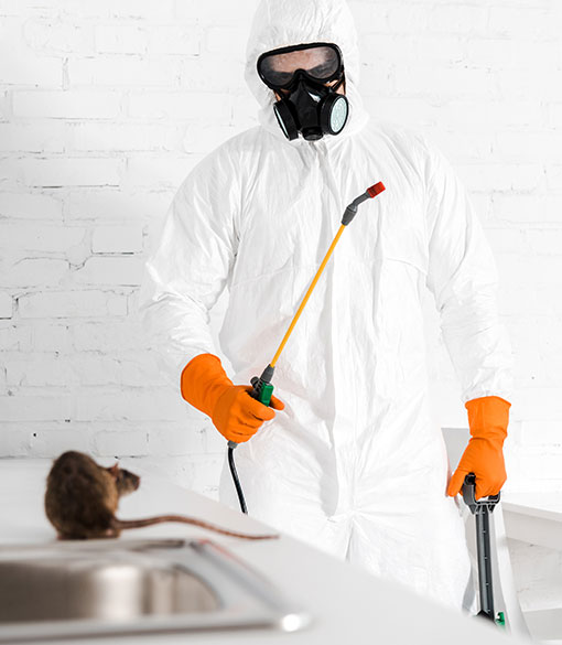 About Us | Inclusive Pest Control